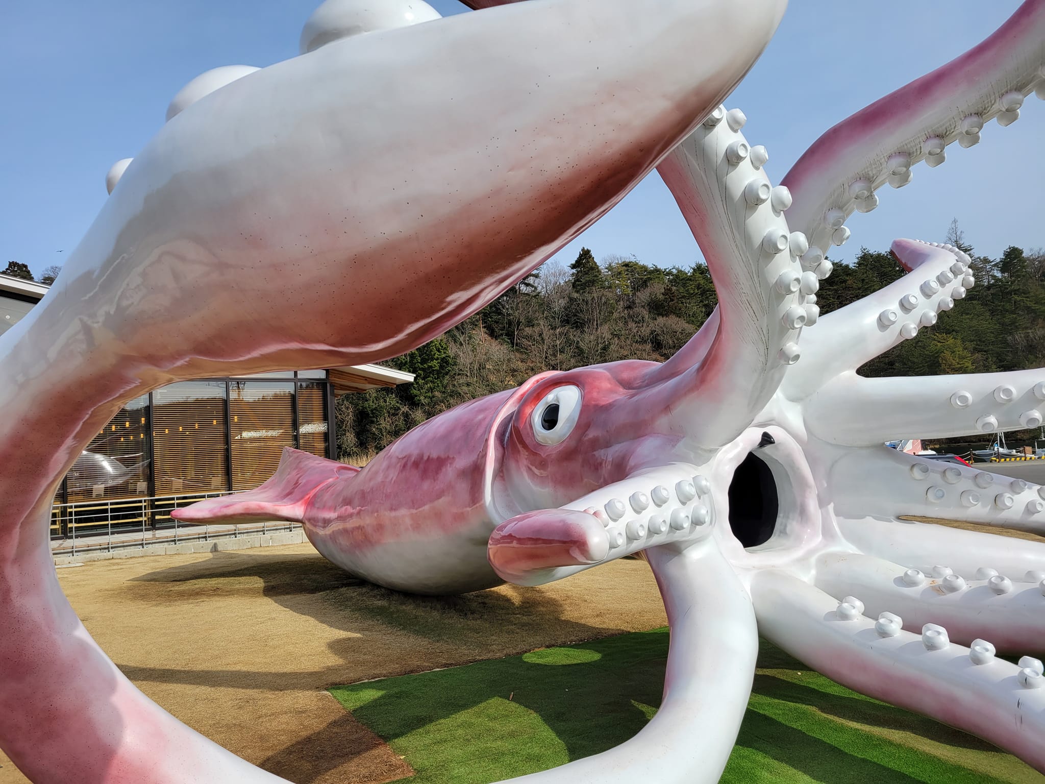 イカの駅つくモール