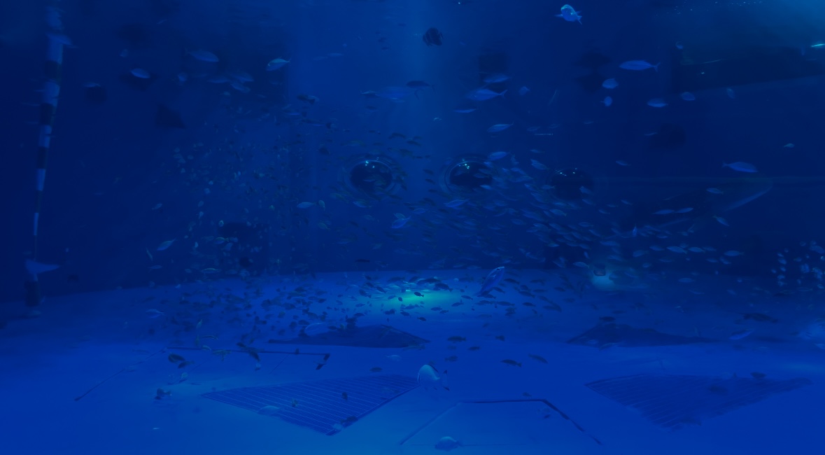 のとじま水族館