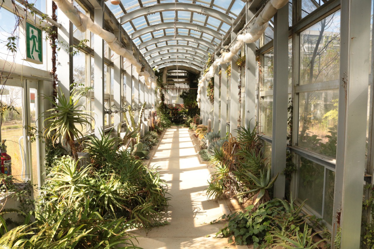 七尾フラワーパークのと蘭ノ国